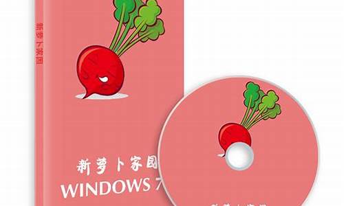 新萝卜家园win10安装教程,新萝卜家园电脑系统