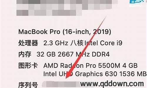 苹果电脑序列号查询结果_苹果电脑系统报告序列号