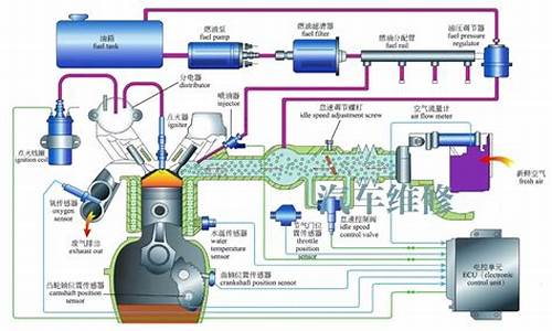 汽油车电脑系统分类_汽油车电脑系统分类有哪些