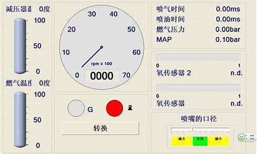 cng电脑板故障症状-CNG电脑系统